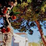 Lipari *